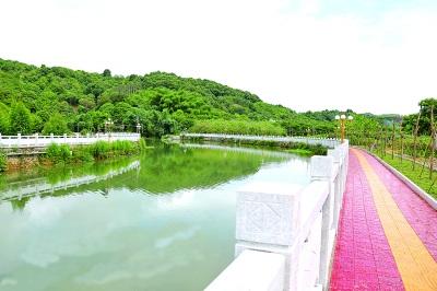 中国侨网图为潮州新塘溪亲水平台建设已完工，成为该镇又一道亮丽的风景线。本报记者 陈宏文摄