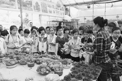 中国侨网泉州师院附小学生赴花博园学习,助力“班班开展花卉养护”实践工程。