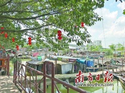 中国侨网北区村的避风塘面积约22亩,100多艘船停放其间。资料图片