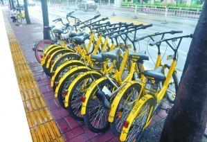 中国侨网目前共享单车很容易找到。广州日报全媒体记者何波摄
