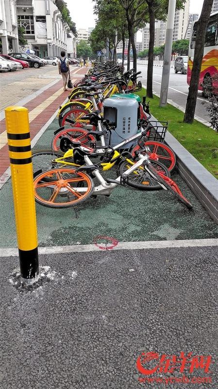 中国侨网兆祥路上的自行车道 