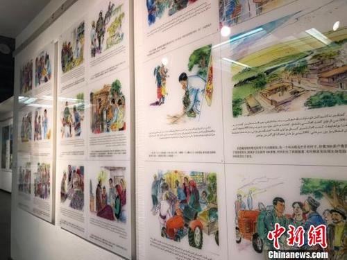 中国侨网“民族团结一家亲”连环画展中的双语连环画。　迪娜　摄