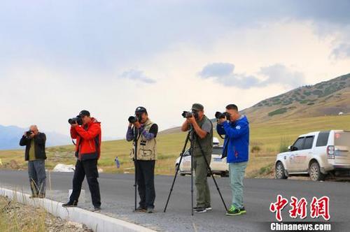 中国侨网图为摄影家们进行采风活动。　耿丹丹　摄