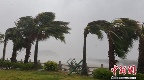 中国侨网台风来袭，珠海迎狂风暴雨 邓媛雯 摄