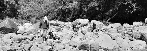 中国侨网基本无水的溪滩上，还有稀稀落落的人在寻找“黑金石”。