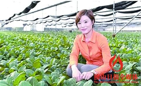 中国侨网张雯雯在田间察看农作物生长情况。