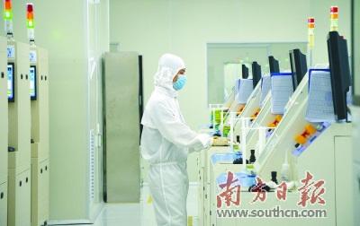 中国侨网江门引进好的项目、形成良好的创业创新氛围,离不开高层次人才的支撑。潘伟珊 摄