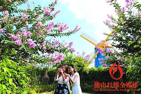 中国侨网市内生态旅游产值不断创出新高，项目受到游客追捧。/佛山日报记者林晓平摄