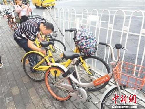 中国侨网停靠在城市路边的共享单车。　资料图　摄