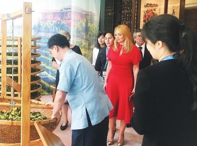 中国侨网厦门会晤期间，肖文华向元首夫人们展示铁观音传统制作技艺。