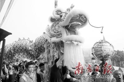 中国侨网整条金龙一共需要100多人才能舞起来。