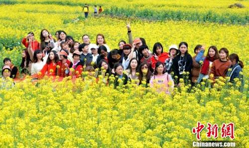 中国侨网3月17日,福建泉州市洛江区虹山乡大片油菜花田吸引了不少游客。 林楷煜 摄