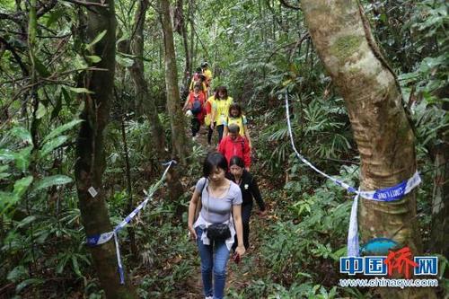 中国侨网资料图:千人登侨乡兴隆凤凰山。 卓琳植 摄
