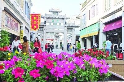 中国侨网牌坊街头，碧冬茄花开，喜迎四方游客。