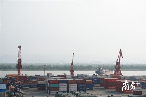 中国侨网国家一类口岸新会港正在作业。张泳渝 摄