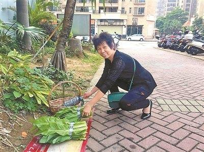 中国侨网途经无人菜摊的阿姨购买青菜，主动把菜钱放进水瓶里。