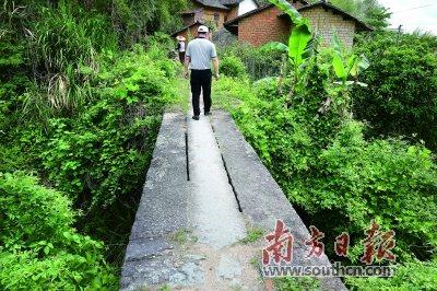 中国侨网在梅州岃古驿道上，用石条砌成的百年古桥仍完好。朱双玲 摄