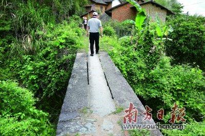 中国侨网在梅州岃古驿道上,用石条砌成的百年古桥仍完好。朱双玲 摄