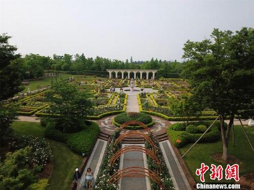中国侨网4月27日，鸟瞰江西龙虎山英伦风情玫瑰园。　王剑　摄