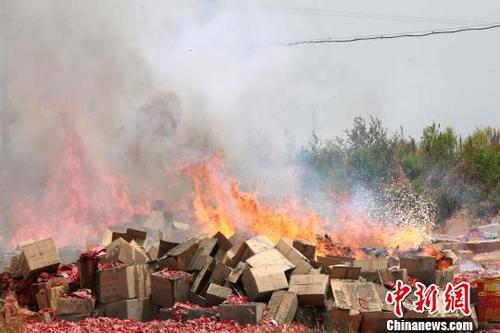 中国侨网晋江市公安局组织销毁非法烟花爆竹现场。　陈龙山　摄