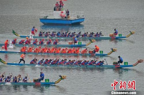 中国侨网参加比赛的龙舟颜色各异,有黄龙、白龙、红龙等 雷勇 摄