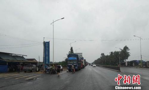 中国侨网车辆因台风致琼州海峡停航而滞留 梁秋川 摄