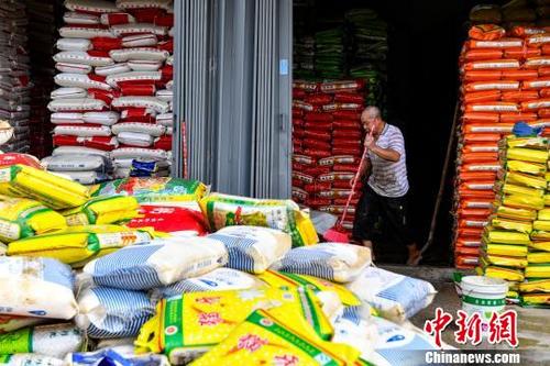 中国侨网溪口村米店外堆积的浸水大米。 陈骥旻 摄