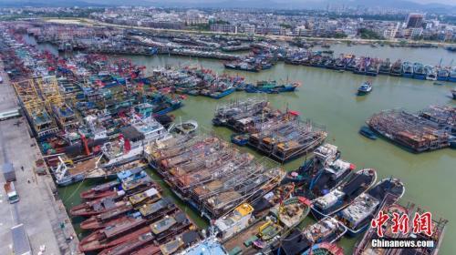 中国侨网9月15日，海南三亚崖州中心渔港停靠着众多回港避风的渔船。中新社记者 骆云飞 摄
