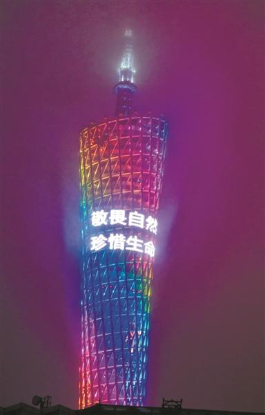 中国侨网(16日)昨晚，广州塔塔身发布“敬畏自然、珍惜生命”的公益广告。广报全媒体记者王燕摄