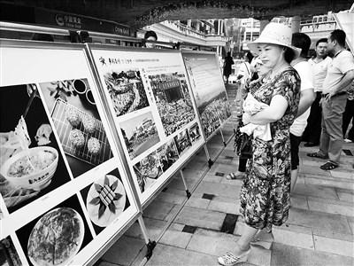 中国侨网市民游客在观看图片展。