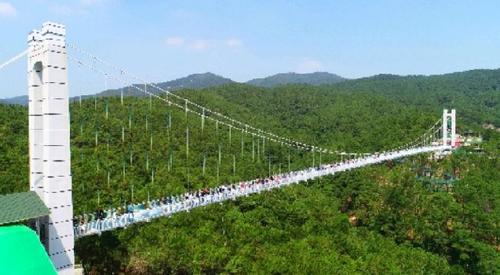 中国侨网佛山首座观景玻璃桥向游客开放。 主办方供图