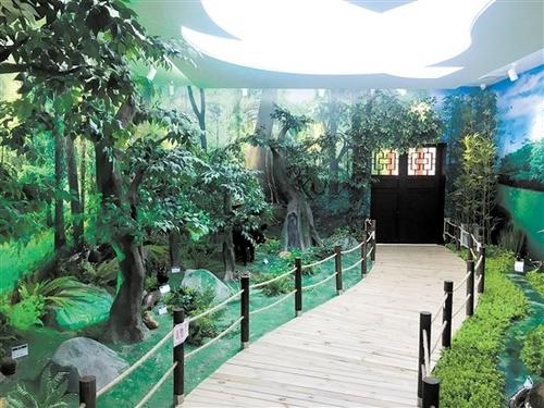 中国侨网森林体验馆内的绿色栈道。 傅雅蓉/摄