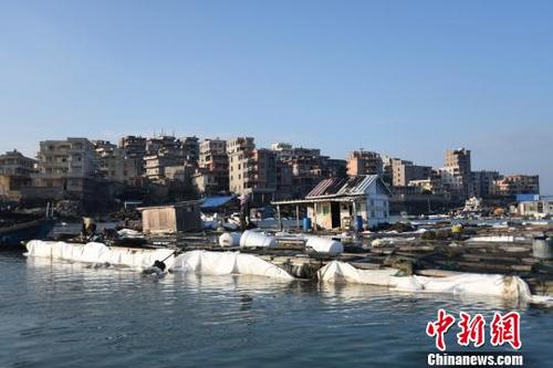 中国侨网昔日热闹的肖厝码头，如今人烟稀少，空气中仍能闻到刺鼻的异味，渔民们忙于加固渔排。　陈龙山　摄