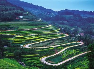 中国侨网蜿蜒在瑞安乡间的农村公路。 陈世丰 摄