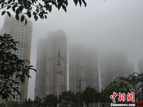 中国侨网进入1月以来，海南海口频现雨雾天气。　尹海明　摄