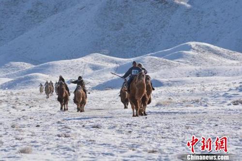 中国侨网当日气温零下30多度，牧民们身着节日盛装来参加草原的骆驼盛会。　乌仁花　摄