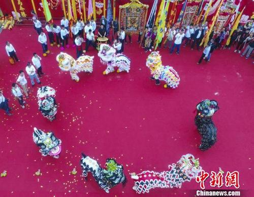 中国侨网广州泮塘8头醒狮亮相佛山大沥盐步龙狮大会。　刘成　摄