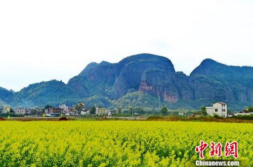 中国侨网2月27日,江西省会昌县筠门岭镇汉仙岩景区的油菜花相继开放,远山、近水、在油菜花的映衬下美不胜收 朱海鹏 摄