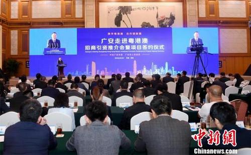 中国侨网“广安走进粤港澳”招商引资推介会现场。 黄辉 摄