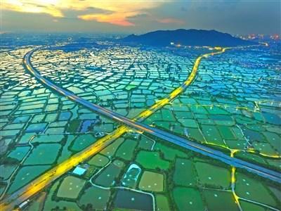 中国侨网图片来源:《广州日报》 刘鹏飞/摄