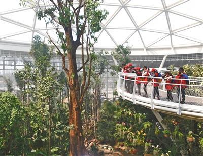 中国侨网4月14日,植物馆热带植物温室内,新京报小记者摄影组正在取景拍摄。新京报记者 尹亚飞 摄