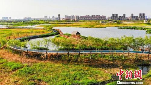 中国侨网五月以来,地处甘肃河西走廊中部、祁连山下的甘肃张掖市国家湿地公园内,绿意盎然,美不胜收。 张啸天 摄