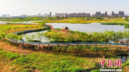 中国侨网五月以来，地处甘肃河西走廊中部、祁连山下的甘肃张掖市国家湿地公园内，绿意盎然，美不胜收。　张啸天　摄