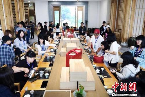 中国侨网图为参观当地茶企。 廖诗雄 摄