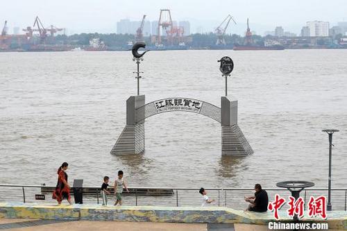 中国侨网长江南京段水位有所上涨。　泱波　摄