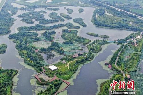 中国侨网俯瞰赤山湖国家湿地公园。　泱波　摄