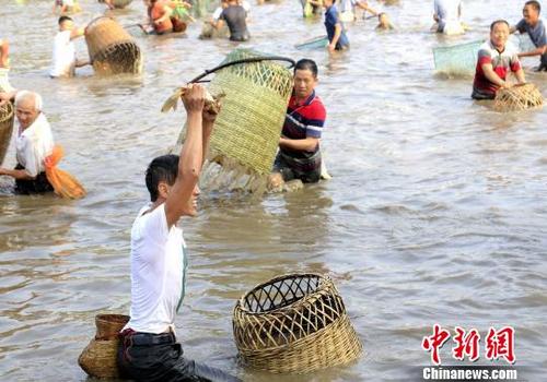 中国侨网捉到大鱼的民众兴奋不已。奉力　摄