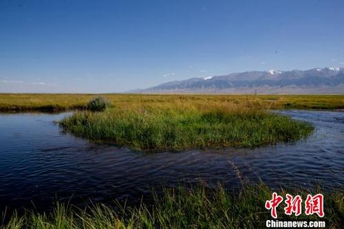 中国侨网眼下,有着原生态湿地风光的巴里坤湿地,草原逐渐退绿变黄,多彩的景色更加迷人。　达吾提·热夏提　摄