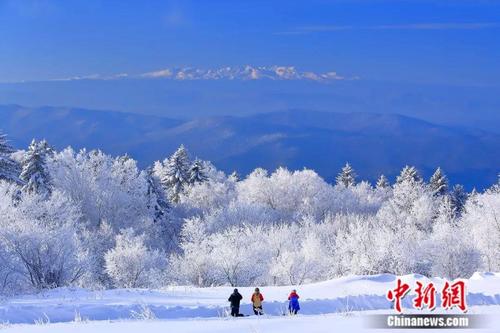 中国侨网游客登上雪岭遥望巍巍长白山 长白山森工集团党委宣传部供图