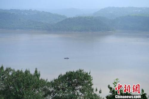 中国侨网图为长江水位持续升高。　陈超　摄